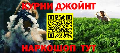индика Анапа