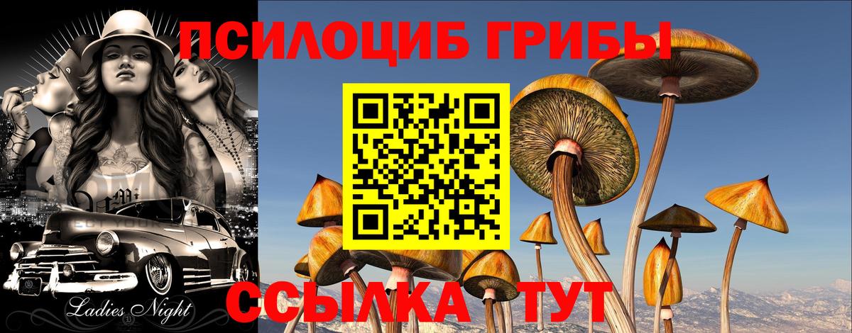 Псилоцибиновые грибы Cubensis  Вход с VPN  купить закладку  Псилоцибиновые грибы ЛСД  Хабаровск 